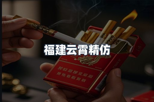 福建云霄精仿